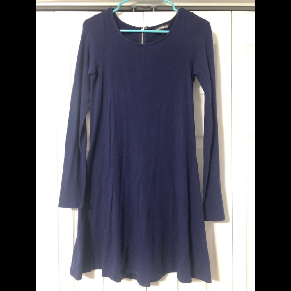 Express Skater Dress